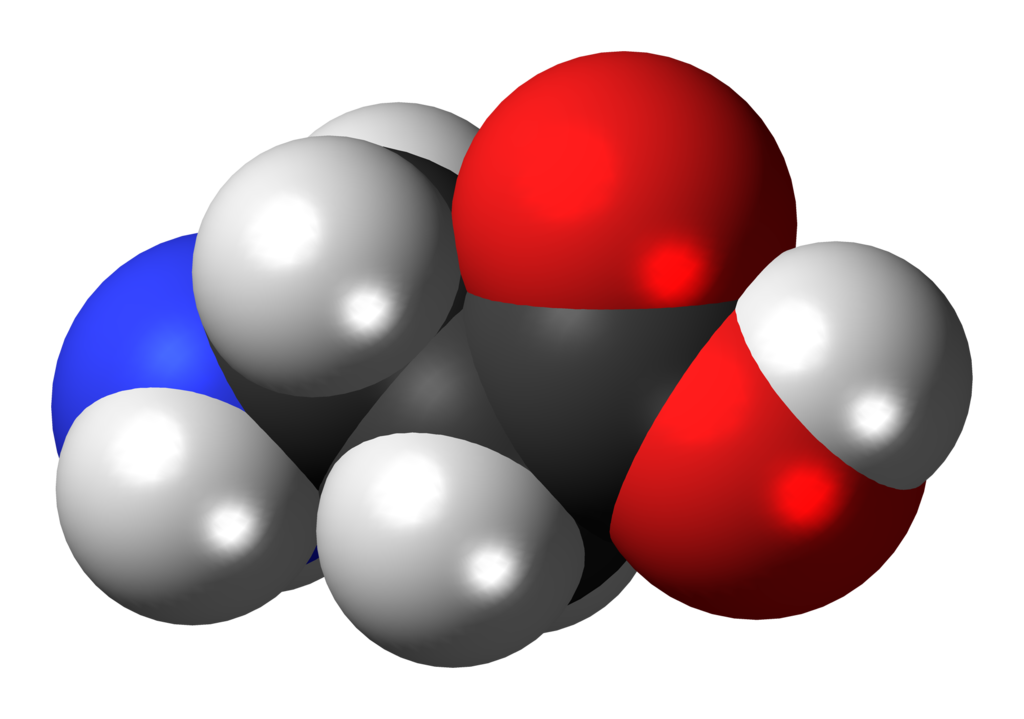 beta alanine