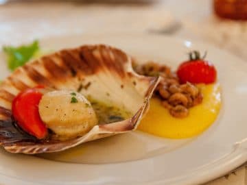 Coquille St-Jacques