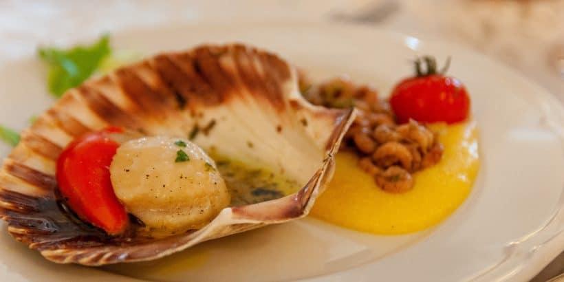 Coquille St-Jacques